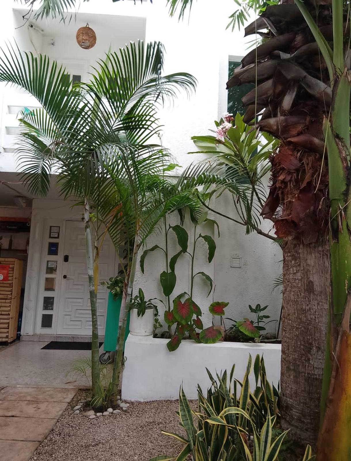 Hotel Downtown Merida Luaran gambar
